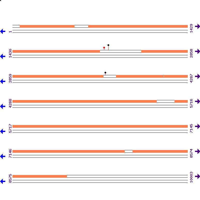 Genome View