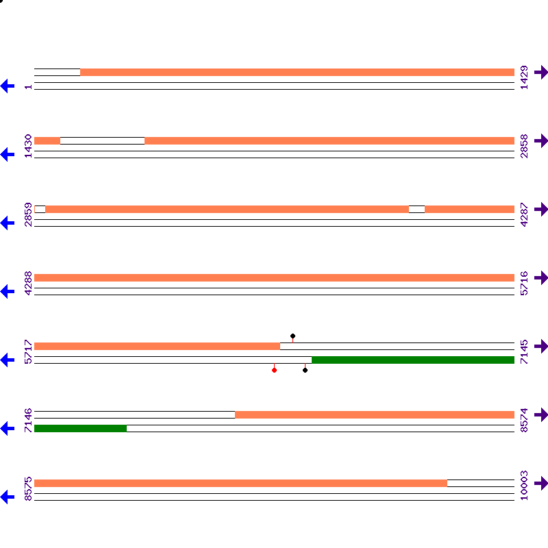 Genome View