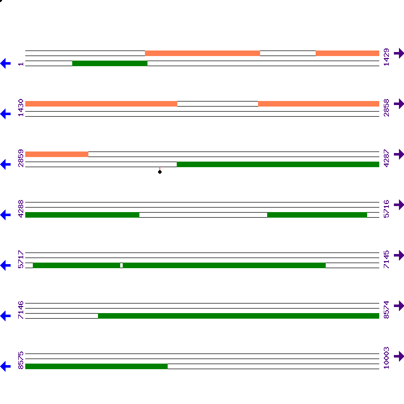 Genome View
