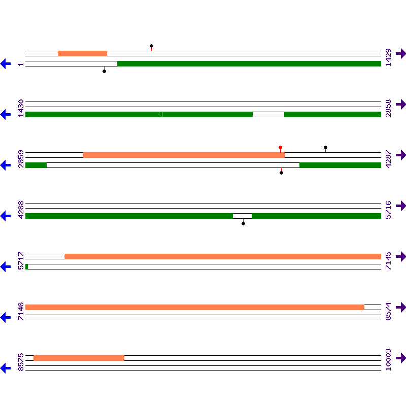 Genome View