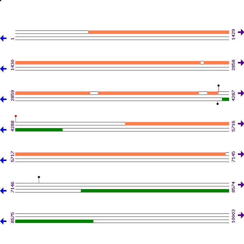 Genome View
