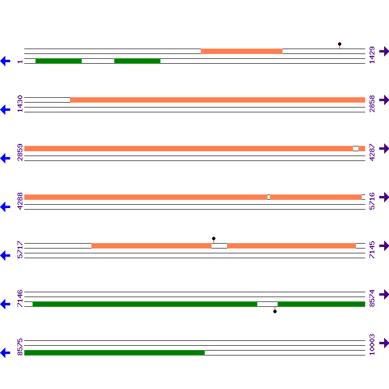 Genome View