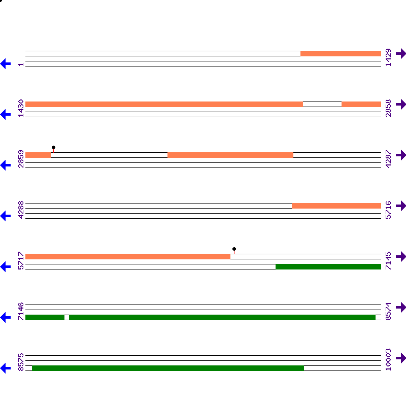 Genome View