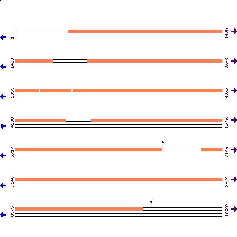 Genome View