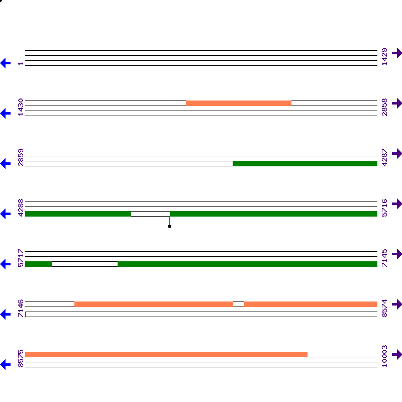 Genome View