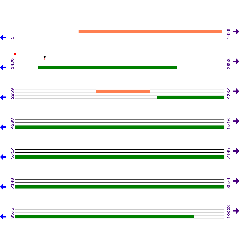 Genome View