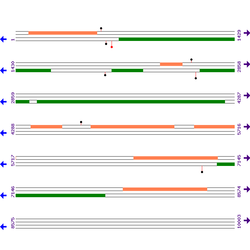 Genome View
