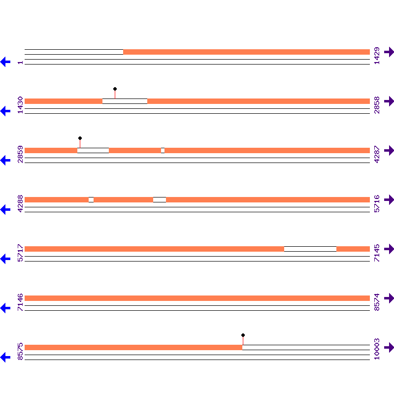 Genome View