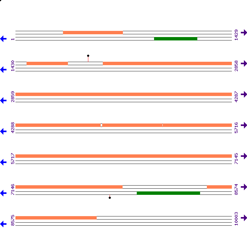 Genome View