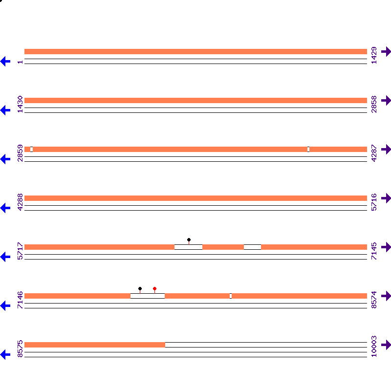 Genome View