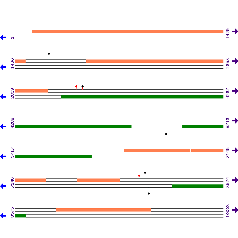 Genome View