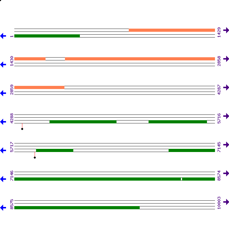 Genome View