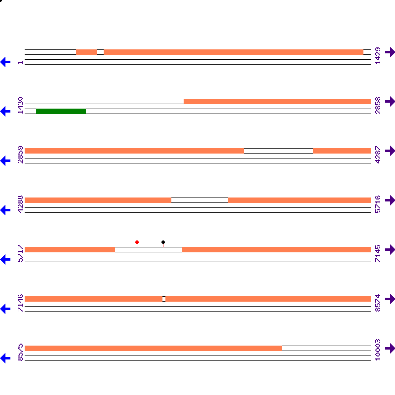 Genome View
