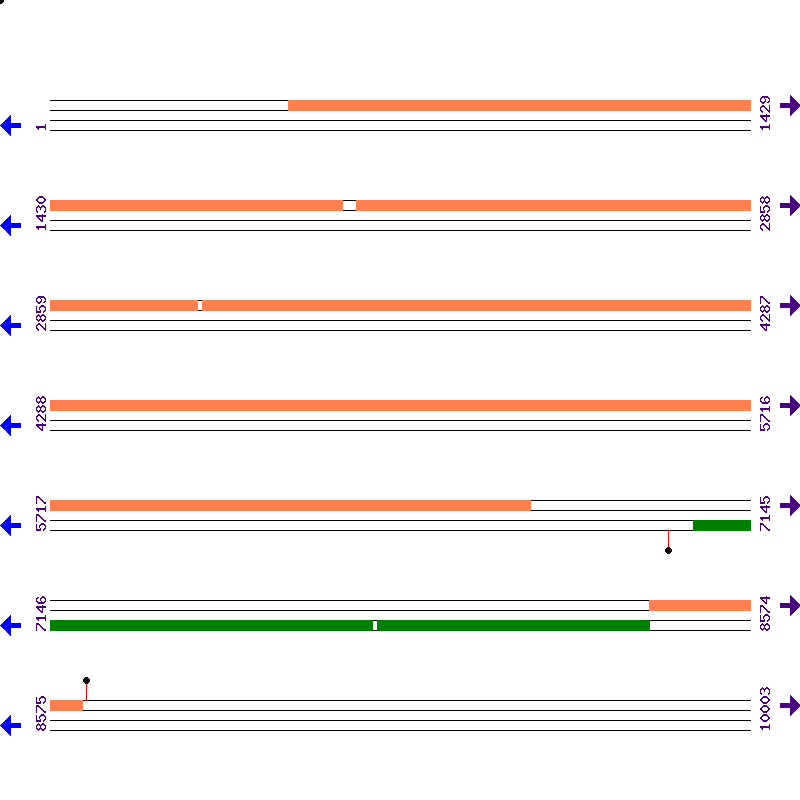 Genome View