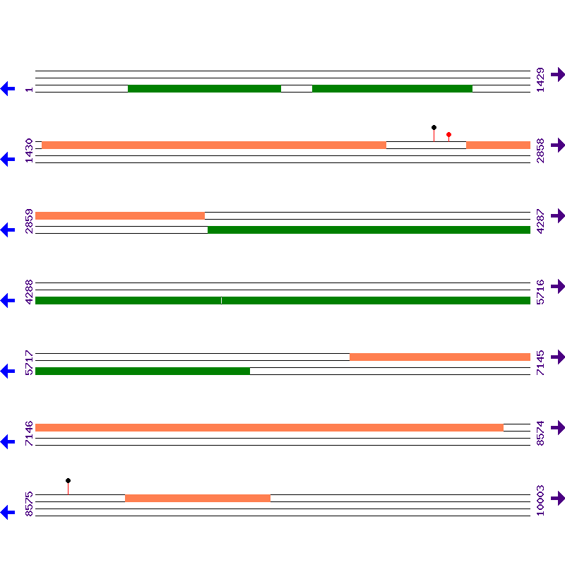 Genome View