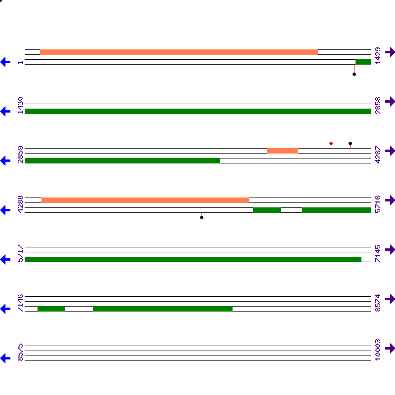 Genome View