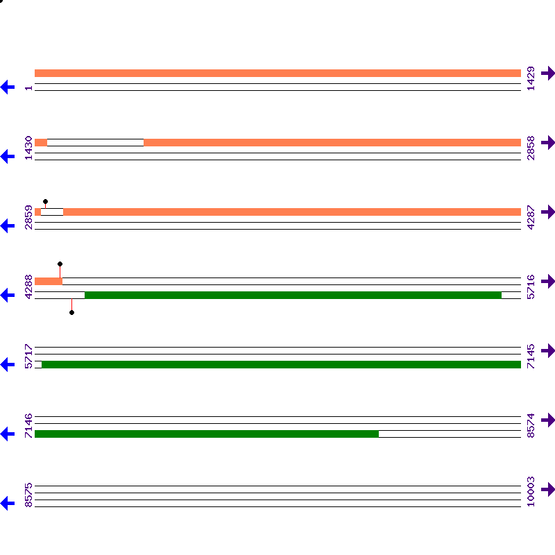 Genome View