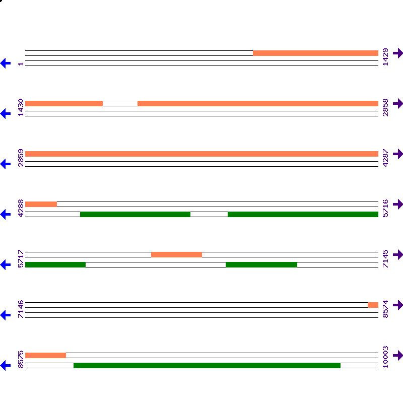 Genome View