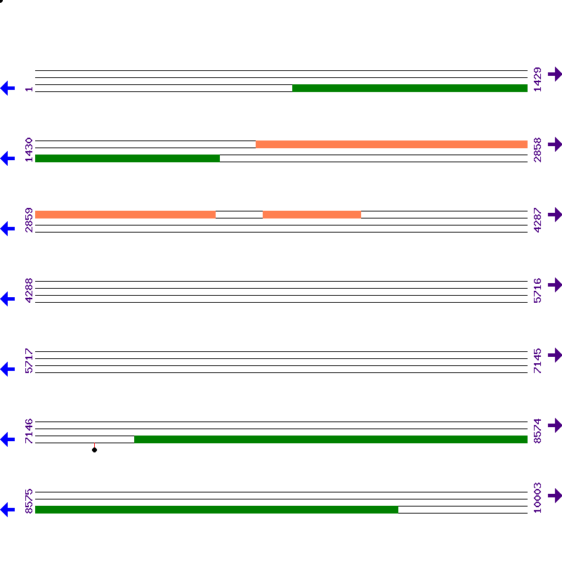 Genome View