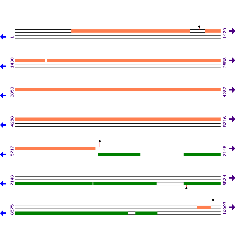 Genome View