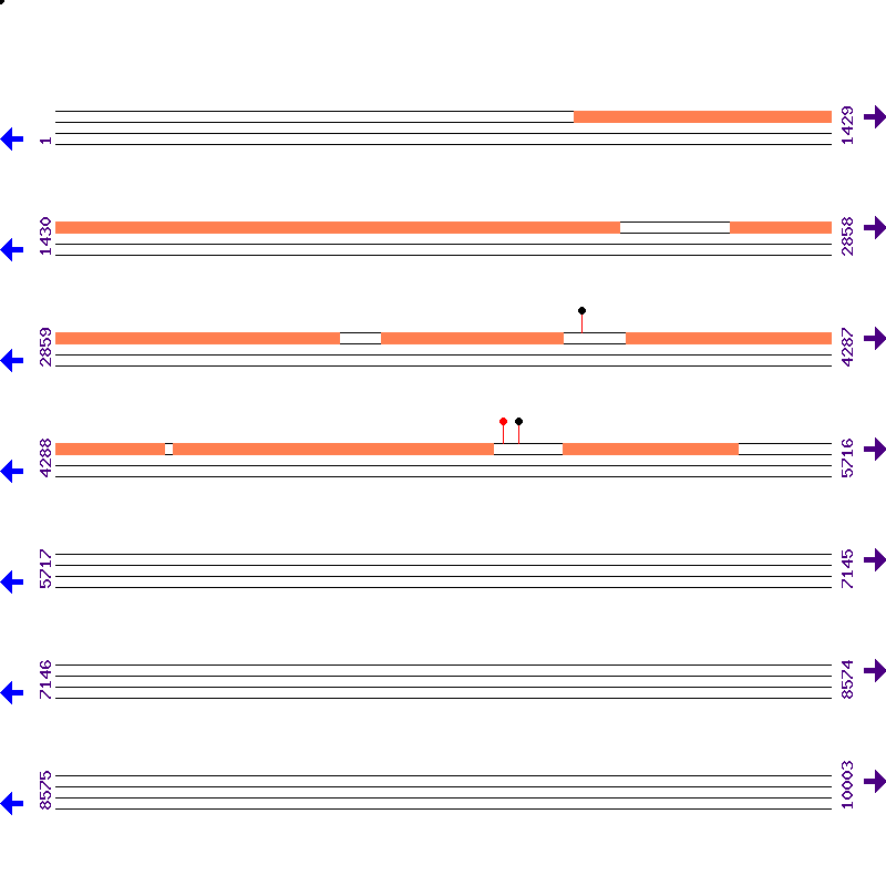 Genome View