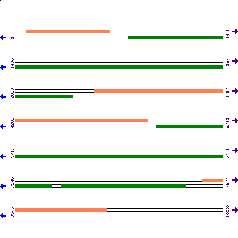 Genome View