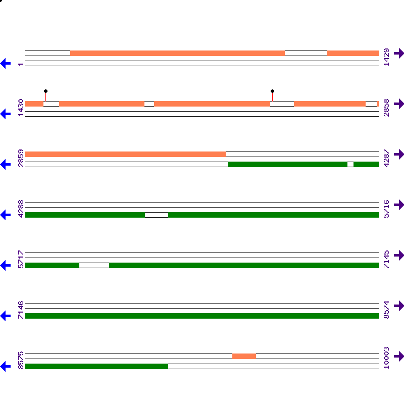 Genome View