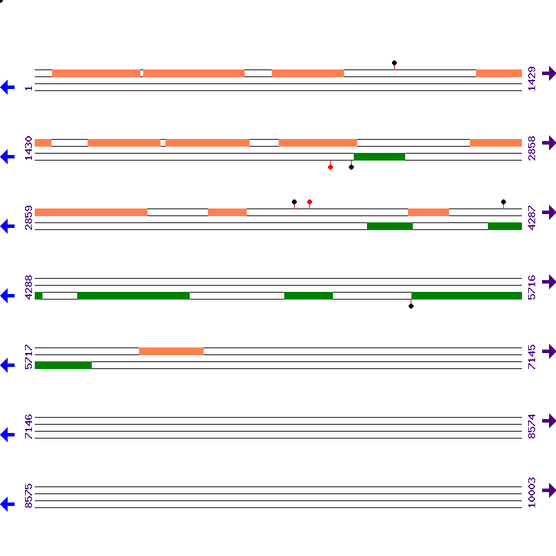 Genome View