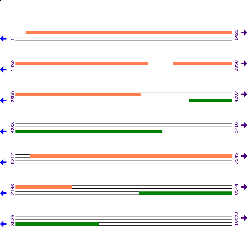 Genome View