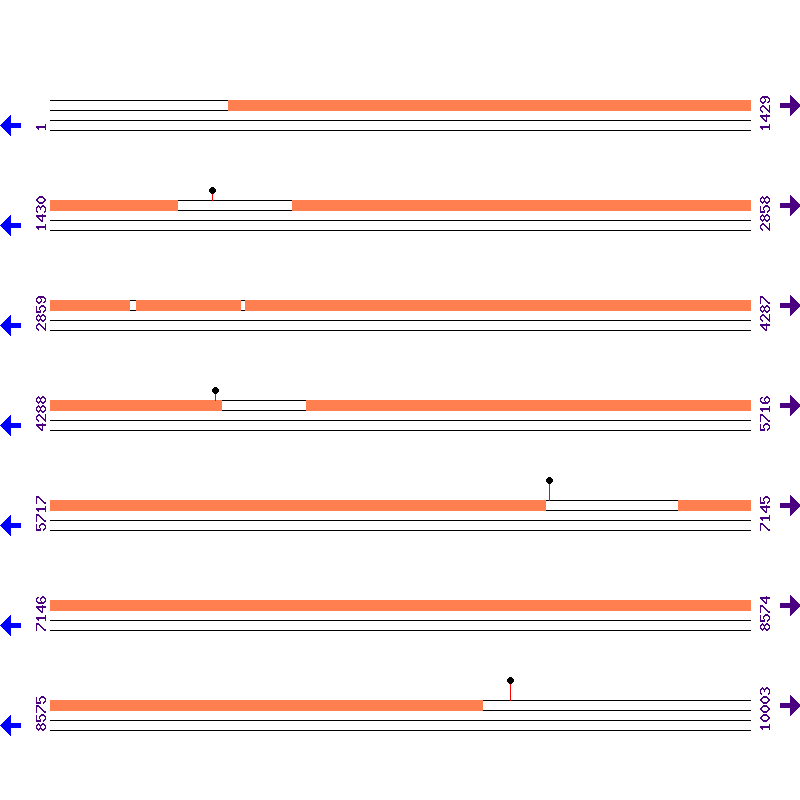Genome View
