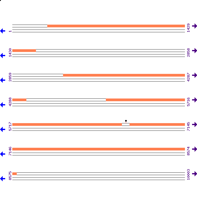 Genome View