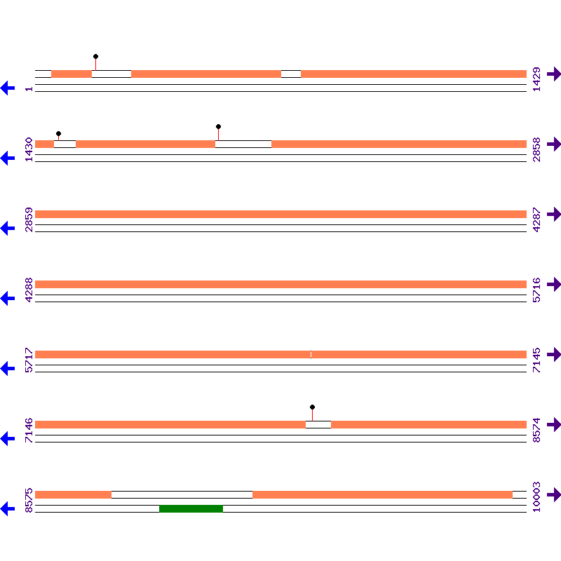 Genome View