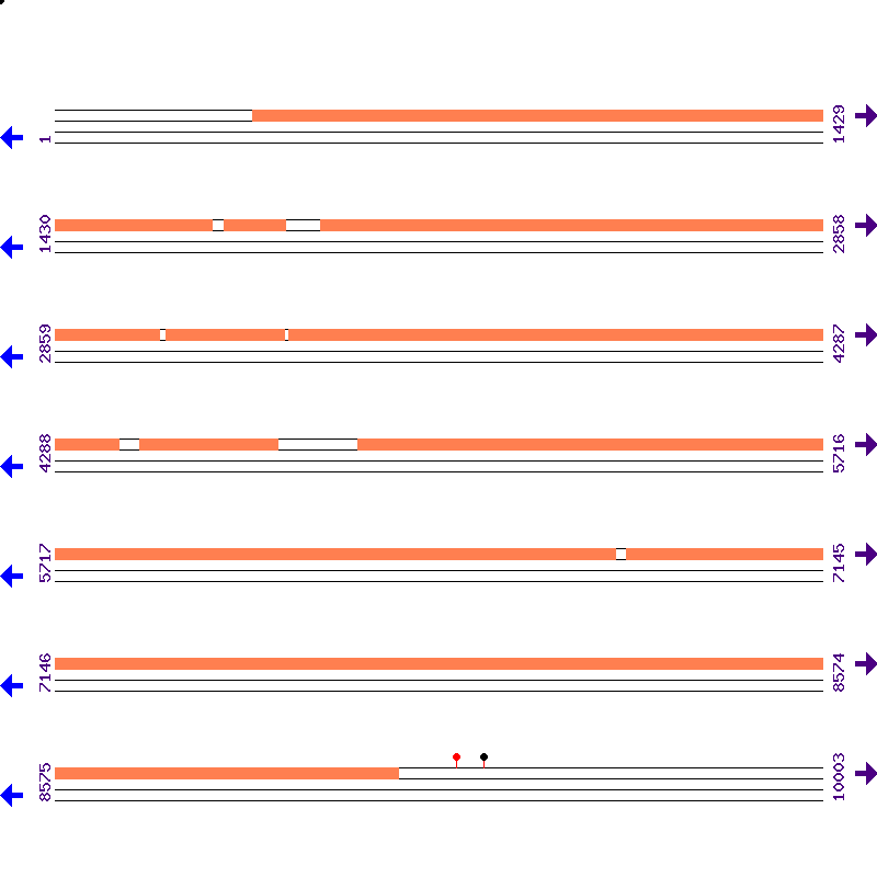 Genome View