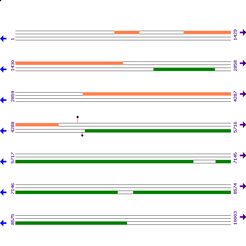 Genome View