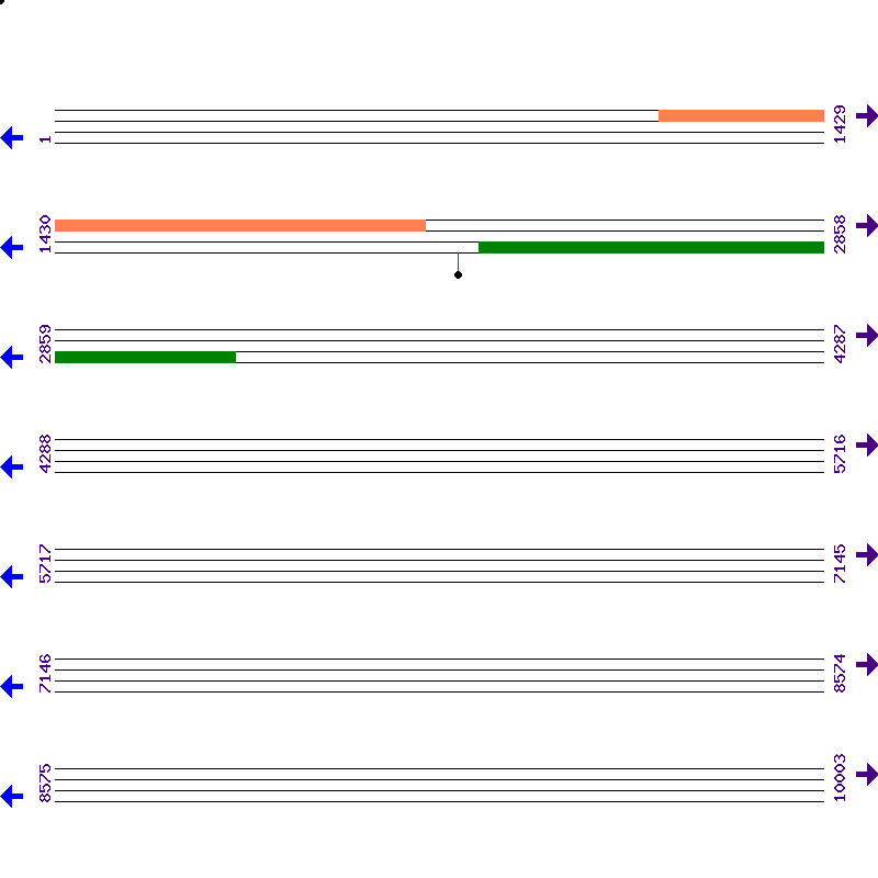 Genome View