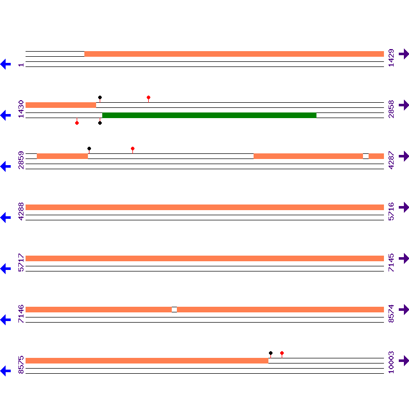 Genome View