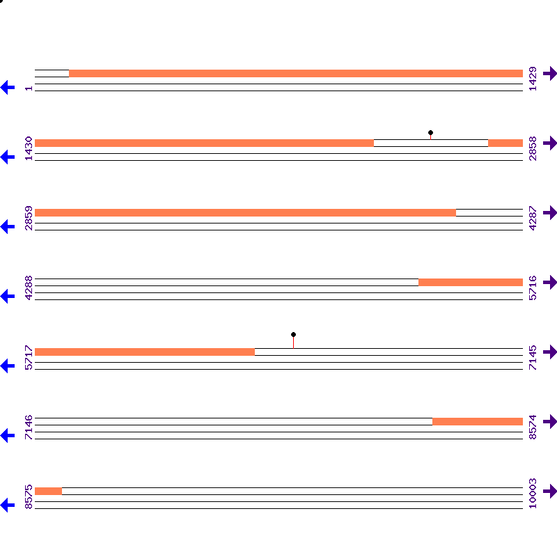 Genome View