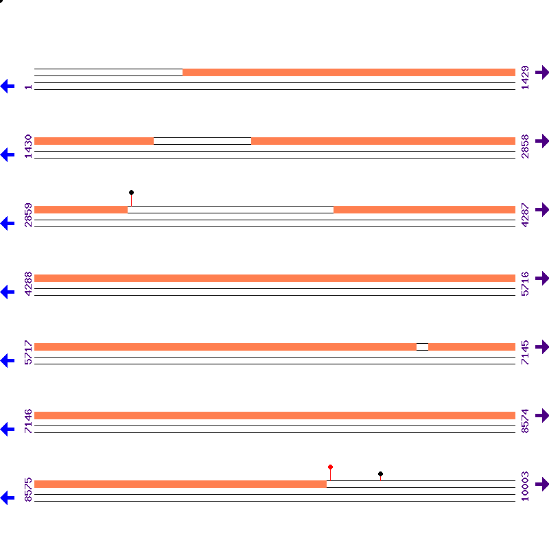 Genome View
