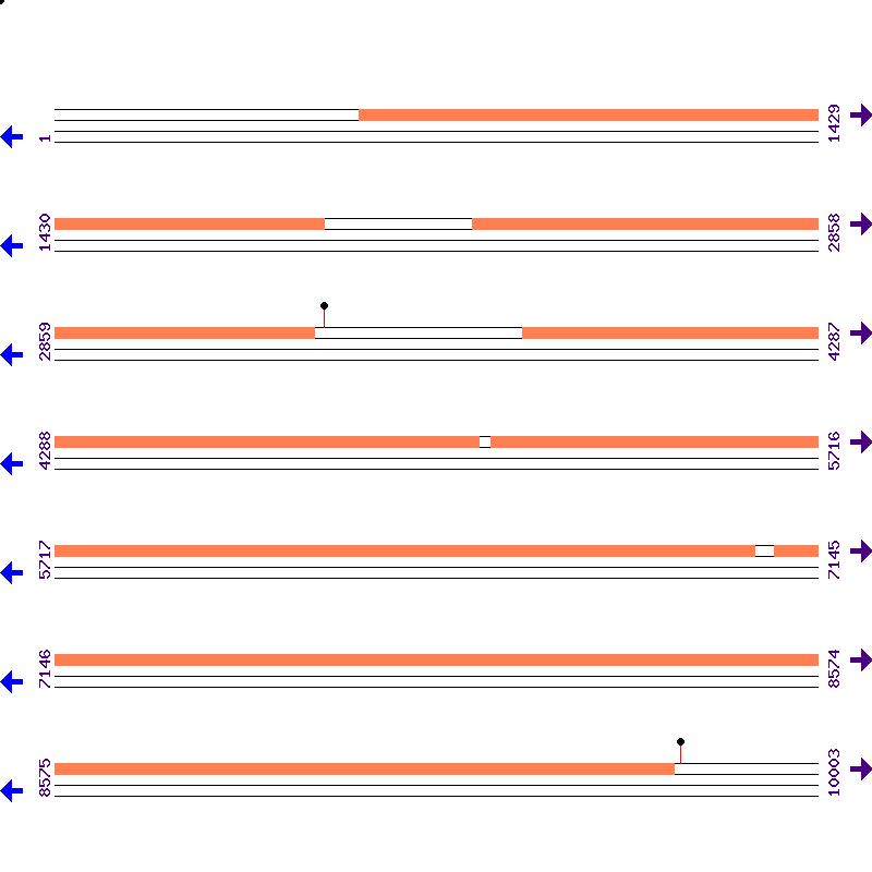 Genome View