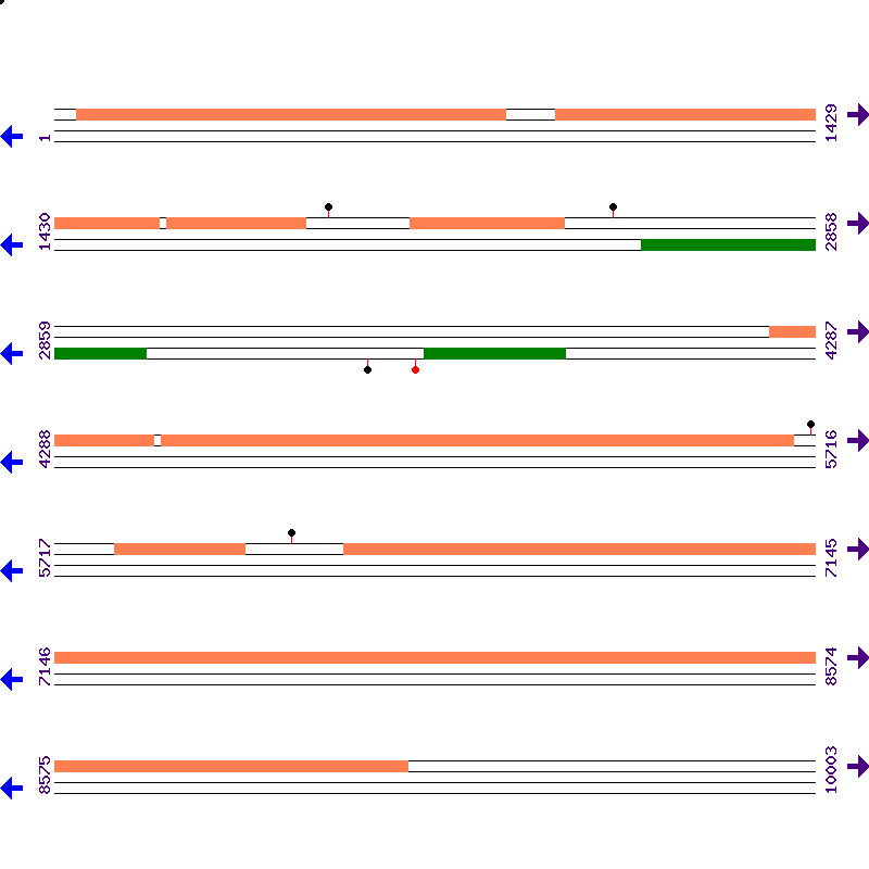 Genome View