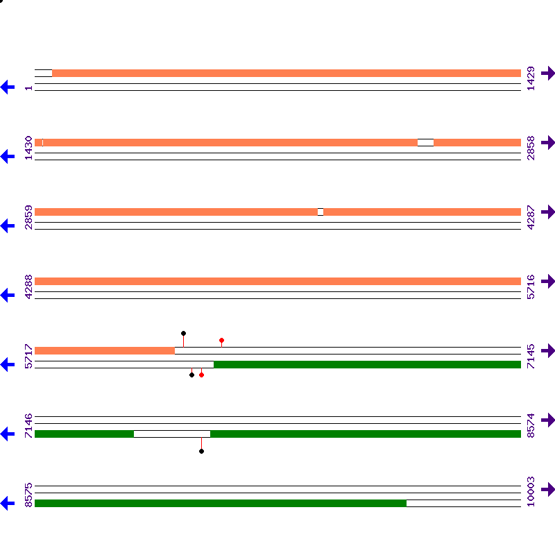 Genome View