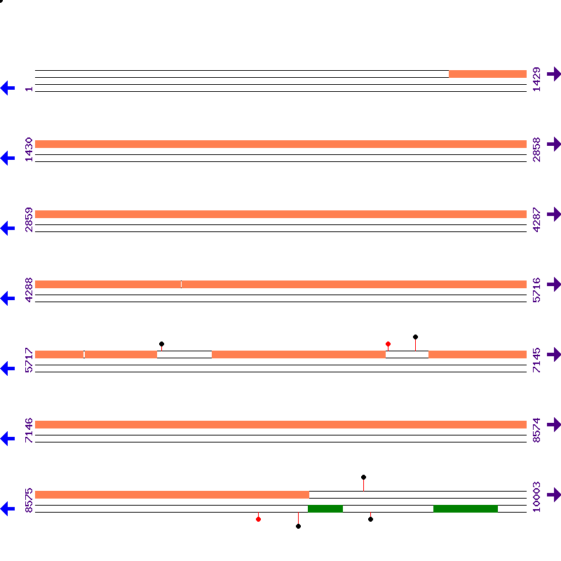 Genome View