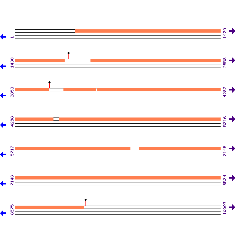 Genome View