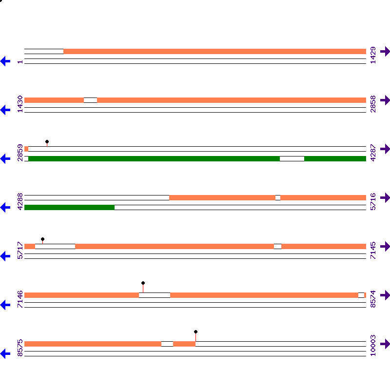 Genome View