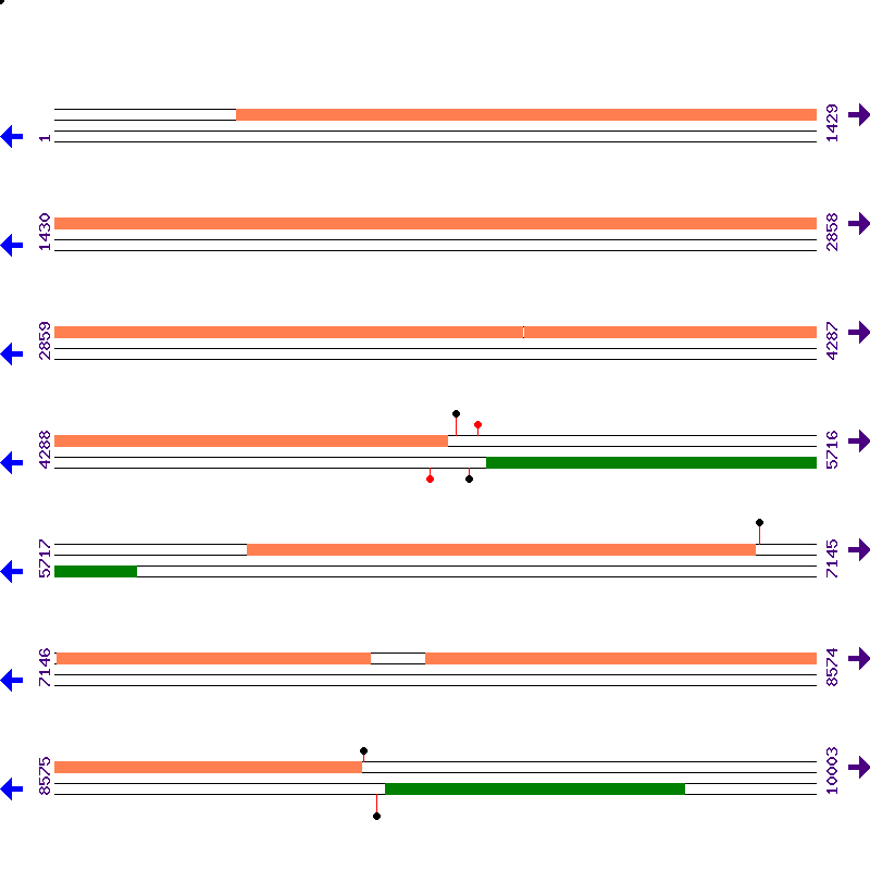Genome View