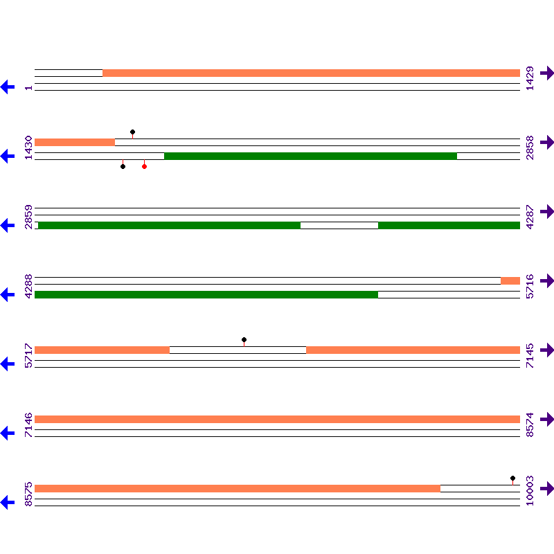 Genome View