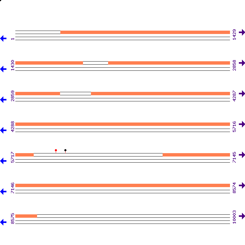 Genome View