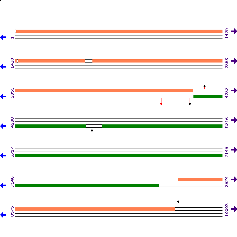 Genome View