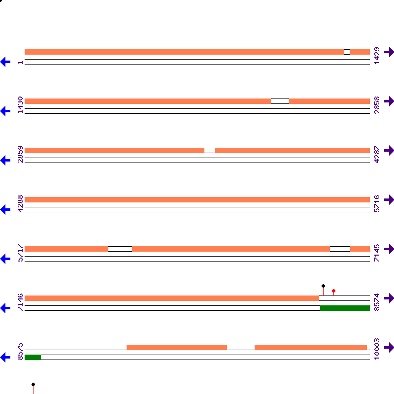 Genome View