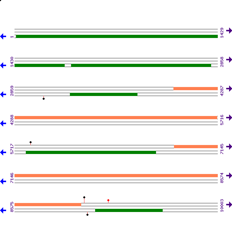Genome View